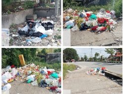 Masyarakat dan Aktivis Minta Pj Walikota Pekanbaru Evaluasi Plt Kadis LHK