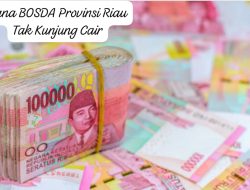 Bantuan Oprasional Sekolah Daerah(BosDa) Tahap ll Tak Kunjung Cair Para Guru Mulai Resah