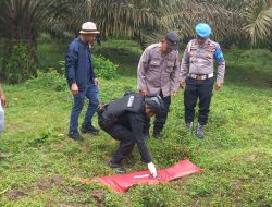 Polres Asahan dan Tim Jibom Brimob Polda Sumut Amankan Granat Aktif di Desa Silom-Lom