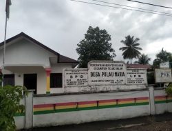 Pj.Kades Pulo Maria Beli Kambing Dari Anggaran Dana Desa TA.2024 Diduga Tidak Tepat Sasaran