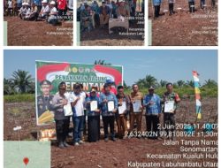 Pemkab Labura Bersama PT. Grahadura Dukung Ketahanan Pangan Melalui Kadis Pertanian Gelar Tanam Jagung di Area lahan Grahadura Sukarame