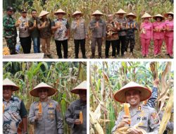 PANEN RAYA JAGUNG SERENTAK KUARTAL II TAHUN 2025: PRESIDEN PRABOWO PIMPIN SECARA VIRTUAL, ASAHAN LAKSANAKAN ZOOM DI PT. PULAU MARIA JAYA