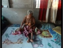 Diduga Gegara Pungli Oknum Kades Perkebunan Aek Paminke Labura,  Lansia 83 Tahun Gagal Terima Bantuan Kursi Roda