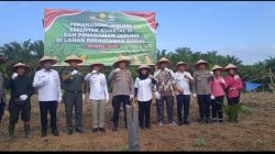 Penanaman Jagung Serentak Kuartal lll Sebagai Wujud Program Ketahanan Pangan Nasional