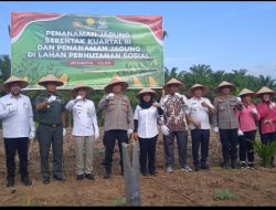 Penanaman Jagung Serentak Kuartal lll Sebagai Wujud Program Ketahanan Pangan Nasional