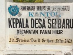 Adanya Dugaan Mark Up T/A 2024 di Desa Sei Baru, “DPW ASPEMA﻿; Desak KEJATI-SU Periksa Oknum Kades